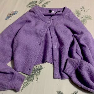 This is a purple sweater that is from H&M